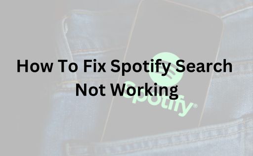 Spotify Search Not Working